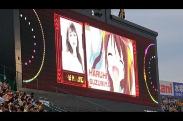 【涼宮ハルヒの憂鬱】長門有希役の声優・茅原美里 始球式 阪神対ヤクルト