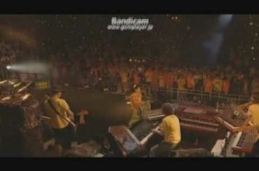 茅原実里　Sunshine flower　サマーキャンプ