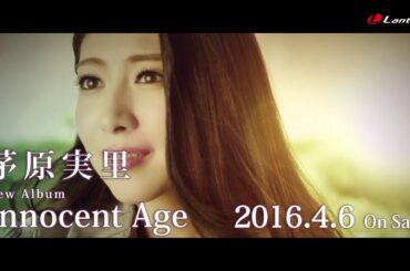 茅原実里 / ALBUM「Innocent Age」 - Love Blossom - MV Short Ver.