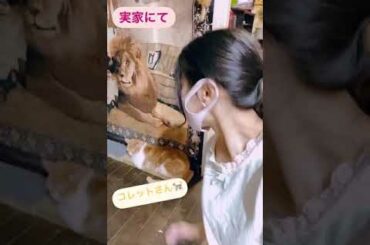 Ai Negishi (根岸愛) 11/08/2020