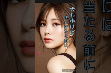 女神　白石麻衣さん　まいやんことわざ②