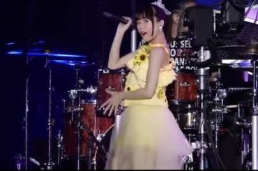 【水瀬いのり】リピ確定動画