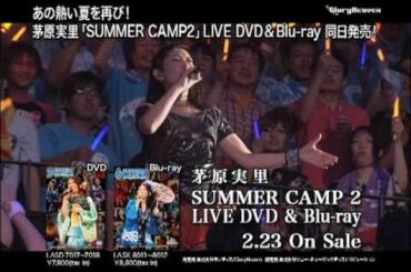 茅原実里 SUMMER CAMP2 LIVE DVD&BD