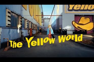 2022年イエローハットCM　30秒