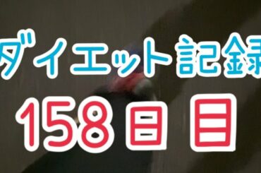 【158日目】やばい、びびる、でも落ち着け！