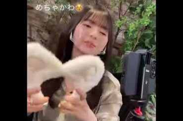 猫耳つけてるさいとうあすかちゃん最強…！　＃齋藤飛鳥　＃乃木坂46