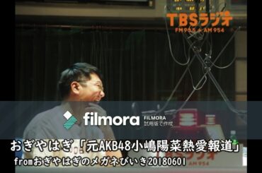 おぎやはぎ「元AKB48小嶋陽菜熱愛報道を小木に直撃」