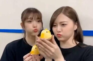 白石麻衣 x 松村沙友理のひよこぷるぷる｜乃木坂46 #乃木坂46 #バナナマン #白石麻衣 #松村沙友理