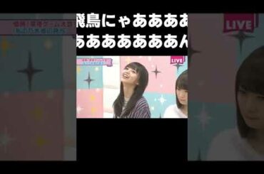 【46時間TV】沈金のノリを出すアルピー平子に爆笑する飛鳥ちゃん【齋藤飛鳥】#乃木坂46#齋藤飛鳥#46時間テレビ#shorts