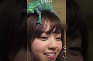 【カメレオンに発情される西野七瀬💕】#乃木坂 #乃木坂46 #乃木坂工事中 #西野七瀬 #白石麻衣 #与田祐希 #遠藤さくら #齋藤飛鳥 #秋元真夏 #shorts #インスタ #山下美月 #切り抜き