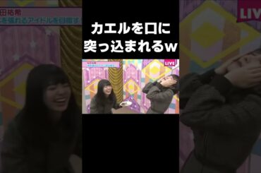 【46時間TV】カエルを食べて悶絶する与田ちゃんと横で高笑いする飛鳥ちゃん #乃木坂46#与田祐希#齋藤飛鳥#電視台#shorts