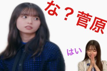 【齋藤飛鳥】【井上和】【菅原咲月】飛鳥ちゃんに圧力をかけて気を遣う和と咲月/乃木坂46