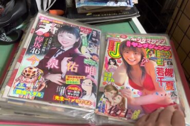 紙の小さな博物館 PART21 (グラビア②)