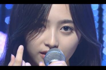 井上和の風の谷のナウシカ