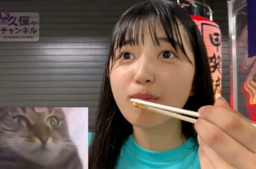 五百城茉央ちゃんの全てを理解した猫