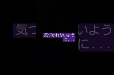 気づかれないように　小嶋陽菜(AKB48)　作詞秋元康　　作曲若田部誠