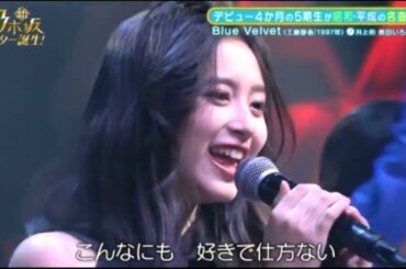 乃木坂46 5期生 井上和『Blue Velvet』(工藤静香)