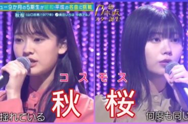 新・乃木坂スター誕生【奥田いろは・中西アルノ】『秋桜』