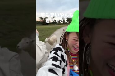 まいやんと羊とフワちゃん