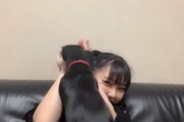 田中美久と精力のあり余った犬たち