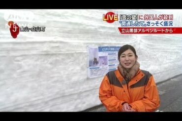 立山黒部アルペンルート　加藤真輝子アナの中継レポ(14/05/01)