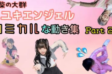 【豆柴の大群】ミユキエンジェルコミカルな動き集 Part2【見てて飽きない】