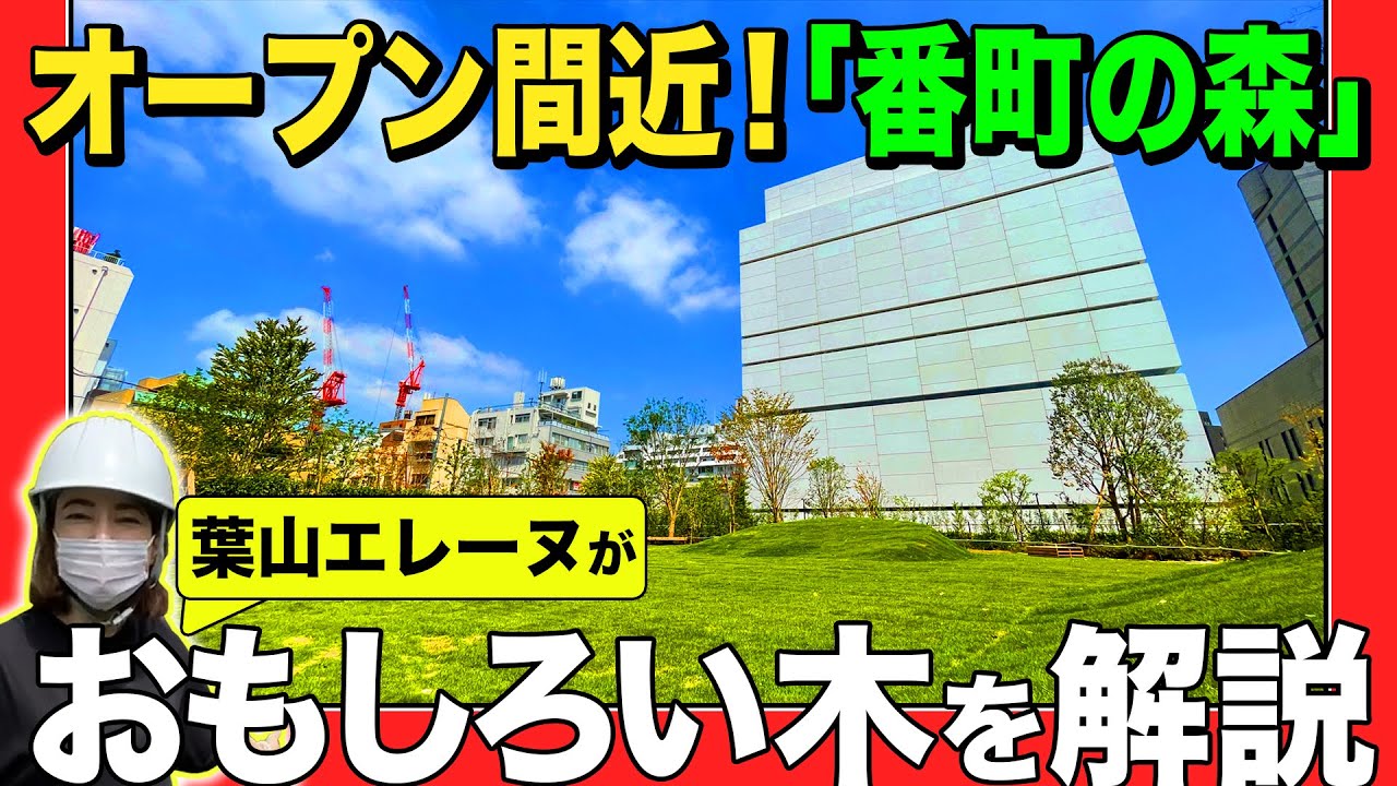 #22 オープン間近!「番町の森」葉山エレーヌがおもしろい木を解説!! #22 オープン間近!「番町の森」葉山エレーヌがおもしろい木を解説!!