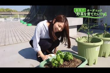 会社で野菜を育てたい！第8回｢トミー画伯！｣【HOMEアナウンサー】