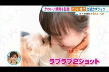 肉球型取り！プロの撮影！ペット“成長記録”サービス【あらいーな】(2022年1月18日)