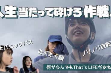 【留学生目線のNZ交通事情】人生当たって砕けろ！ってゆーかやらなきゃ覚えないからとりあえず動いてみるタイプ。