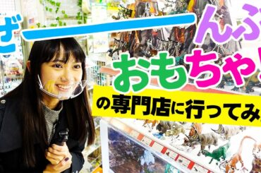 【大興奮回】黒崎レイナがおもちゃ屋さんに潜入♡【１万円企画】
