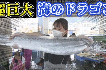 超巨大"海のドラゴン"とは！？肉厚で脂ノリノリの激ウマ食材を求め大海原へ！【アップ！特集】