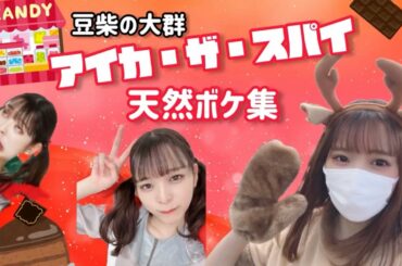 【豆柴の大群】アイカ・ザ・スパイ天然ボケ集