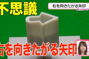 【錯覚!錯視!】常に右を向く不思議な矢印【おはよん】