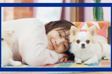 広瀬すず、チワワと一緒にほっこり　今回もチャーミングな表情連発！　AGC新CM「素材でがんばるAGC／断熱エコガラス篇」