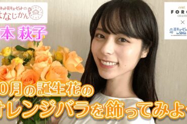 「10月の誕生花オレンジバラを飾ってみよう」花キューピットの“おはなじかん”｜セント・フォースタイアップ企画