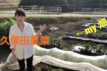 【stay home】広島県 ちしゃもみ　おうちレシピ　女子アナ47久保田夏菜