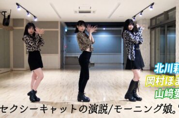 セクシーキャットの演説/モーニング娘。’16