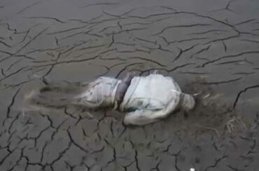 【東日本大震災】3 11～あの日を忘れない～【閲覧注意】