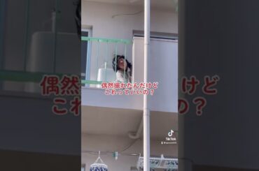 昼間からヤバい#閲覧注意