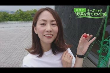 会社で野菜を育てたい！第19回｢トマトのお味は！？編｣【HOMEアナウンサー】