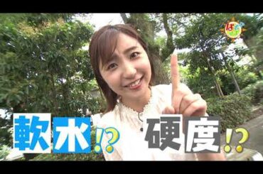 なぞマチ!?2020/08/01