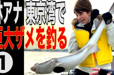 【釣り】巨大ザメvs林美沙希アナ🐟東京湾で大物ねらうぞ！前編