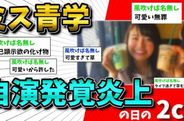 【2ch面白いスレ】ミス青学自演炎上騒動の時の2chの反応【ゆっくり解説】