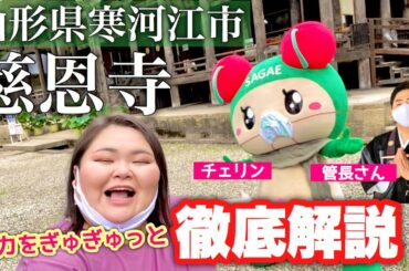 【貴重映像】私の故郷、寒河江市にある『慈恩寺』の特別展にチェリンと潜入！！【国指定重要文化財】前編