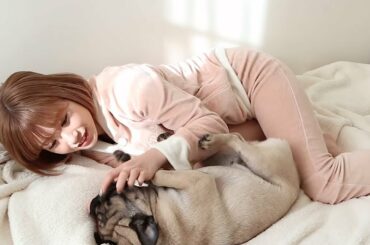 パグとの二人暮らしは、こんな日常です【まったりした日の過ごし方】