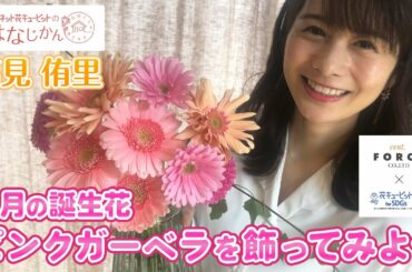 「3月の誕生花 ピンクガーベラを飾ってみよう」花キューピットの“おはなじかん”｜セント・フォースタイアップ企画 [ショートバージョン3]