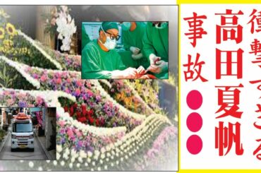 高田夏帆の現在！今現在の様子がヤバすぎる・・・