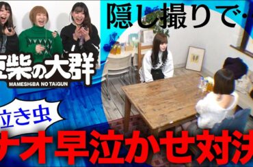 【豆柴の大群】泣き虫ナオ早泣かせ対決