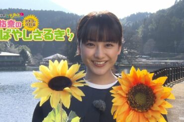 小林市＆ひまわりっ～宮崎レジェンド２～　平祐奈のこばやしさるき　アキコの休日篇